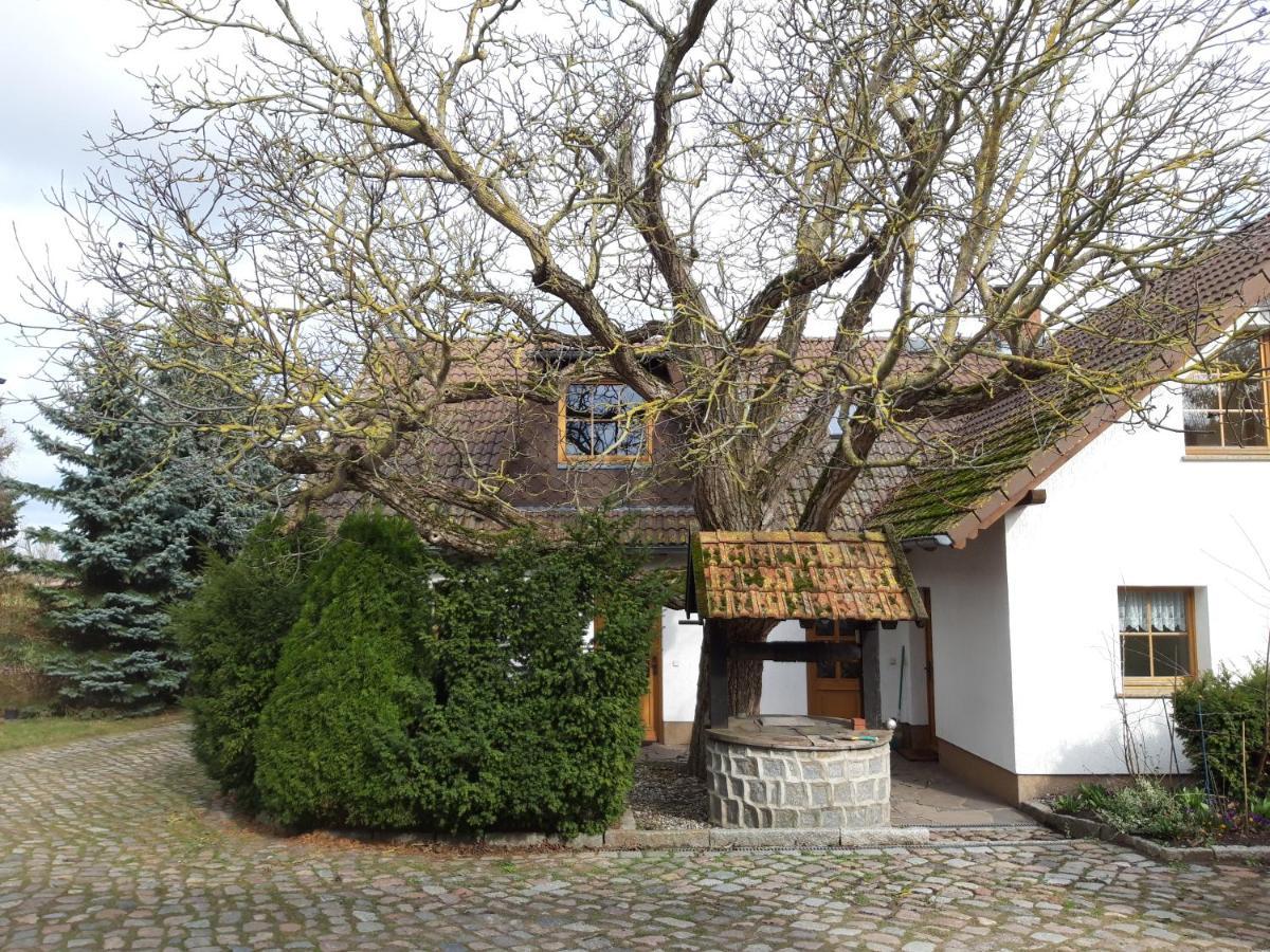 Ein Bett Im Kornfeld - Haus Morgensonne - Mit Innenpool Schonfeld  ภายนอก รูปภาพ