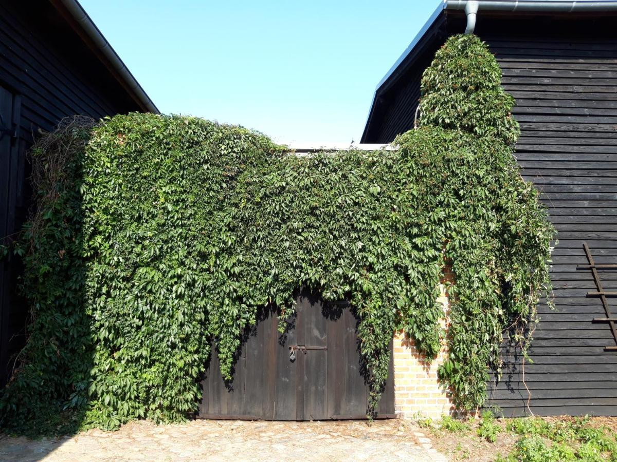 Ein Bett Im Kornfeld - Haus Morgensonne - Mit Innenpool Schonfeld  ภายนอก รูปภาพ
