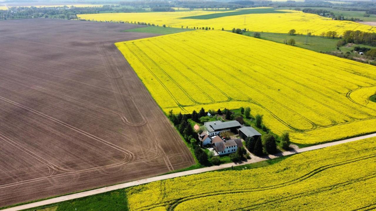Ein Bett Im Kornfeld - Haus Morgensonne - Mit Innenpool Schonfeld  ภายนอก รูปภาพ