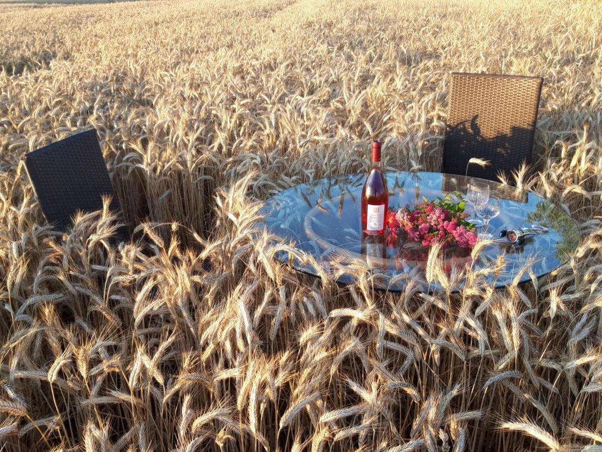 Ein Bett Im Kornfeld - Haus Morgensonne - Mit Innenpool Schonfeld  ภายนอก รูปภาพ